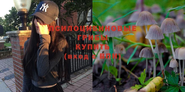 спайс Алзамай